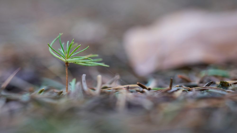 Photo by Ingo Doerrie on Unsplash Photo by Ingo Doerrie on Unsplash
